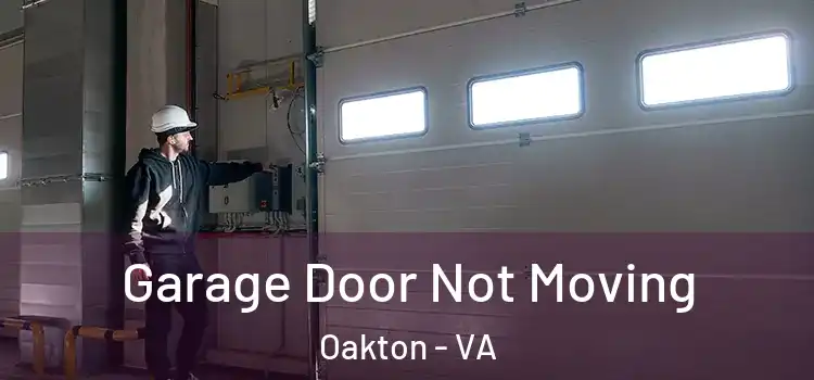  Garage Door Not Moving Oakton - VA