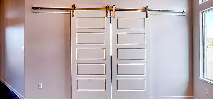 Glass Barn Door with Installation Hardware Kit Oakton