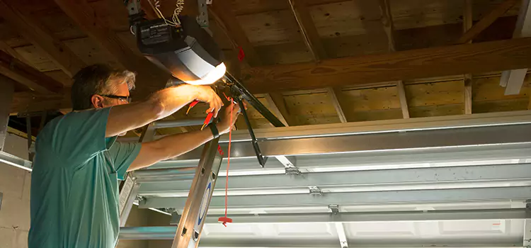 Garage Door Opener Sales and Installation Oakton