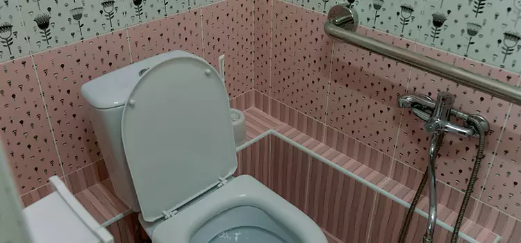 Meeting Diverse Needs With Accessible Restroom Solutions in Oakton, VA