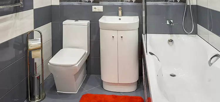 Hansgrohe Shaving Mirror Oakton